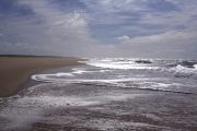 Plage battue - RNN Banc d'arguin-SEPANSO