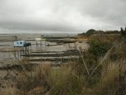 Carrelets - Ligue de Protection des Oiseaux - L Caud