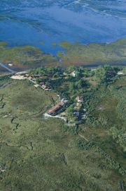 Ile aux oiseaux - B. Ruiz