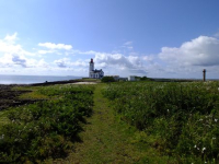 L'île aux Moutons - Bretagne Vivante - Cédric Roy