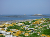 Paysage du bord de mer - MRW Zeppeline - X. Mignant 