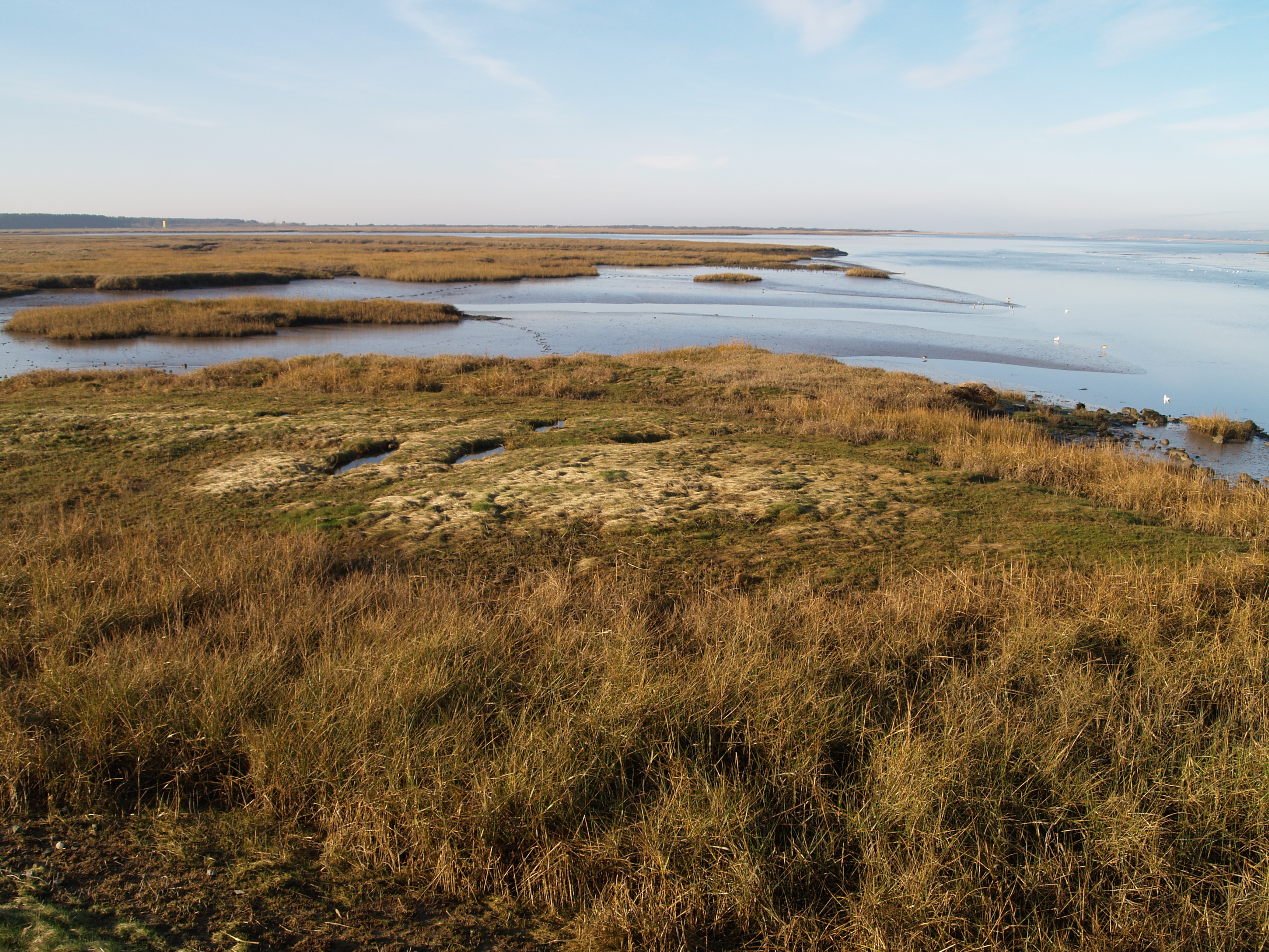 Ferryside Marsh - Blaise Bullimore - Blaise Bullimore