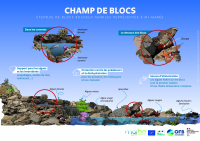 Illustrations pour communiquer sur les habitats marins